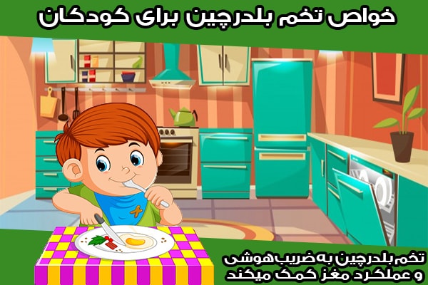 فواید تخم بلدرچین برای کودکان