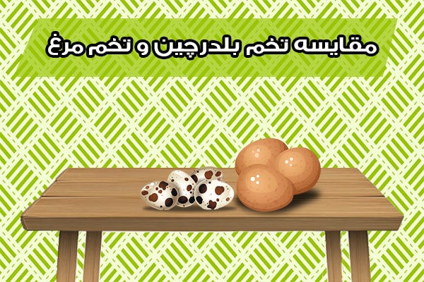 مقایسه تخم بلدرچین و تخم مرغ