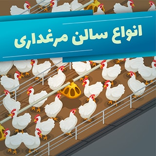 انواع سالن مرغداری