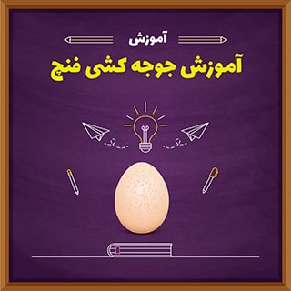 آموزش جوجه کشی فنچ