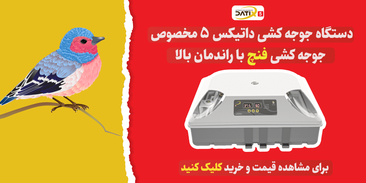 جوجه کشی فنچ با دستگاه جوجه کشی داتیکس 5