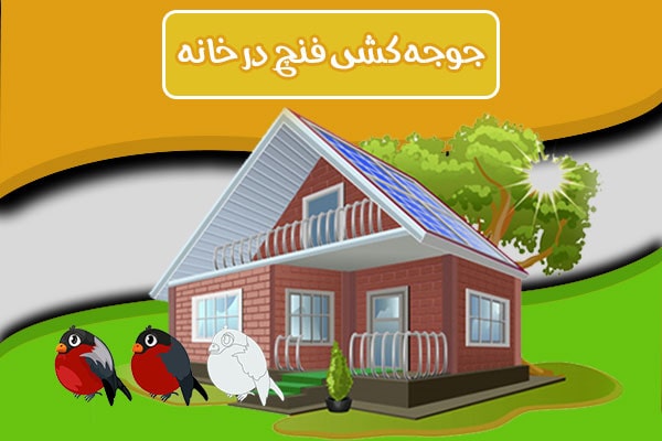 جوجه کشی فنچ در خانه