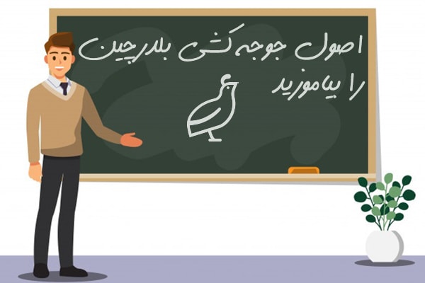 اصول جوجه کشی بلدرچین