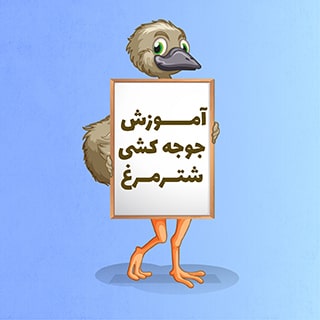 آموزش جوجه کشی شترمرغ
