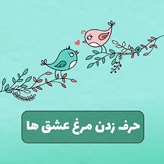 آیا مرغ عشق ها می توانند حرف بزنند؟