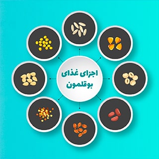 غذای بوقلمون