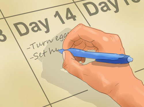 ثبت اطلاعات و تاریخ دستگاه جوجه کشی دست ساز