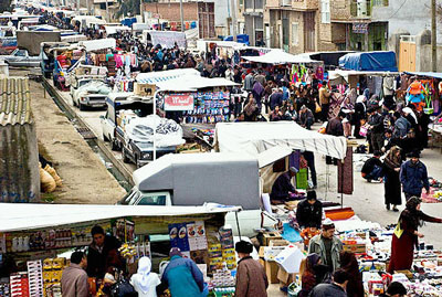 تخم نطفه دار در مازندارن