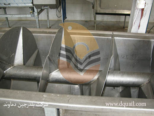 چیلر در کشتارگاه بلدرچین