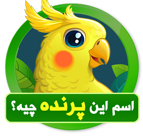 اسم این پرنده چیه؟