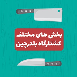 کشتارگاه بلدرچین از چه بخش هایی تشکیل شده است