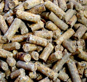 کنجاله سویا و نقش آن در تغذیه طیور