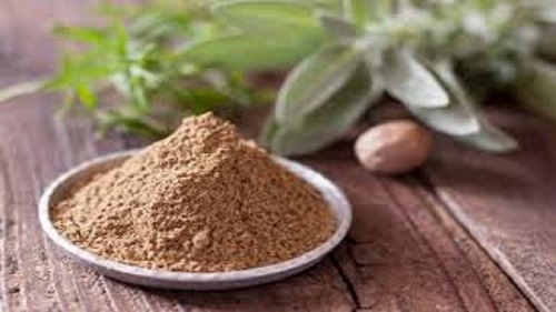 تاثیر جیره غذایی بلدرچین بر تخم گذاری بلدرچین