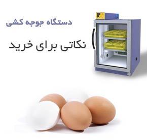 راهنمای شناخت و خرید دستگاه جوجه کشی