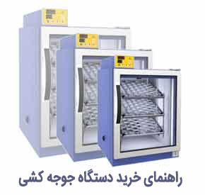 خرید دستگاه جوجه کشی در بازار چه فوت و فن هایی دارد
