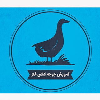 آموزش جوجه کشی غاز