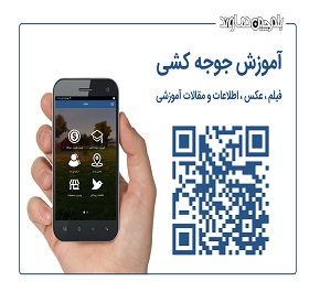 آموزش جوجه کشی