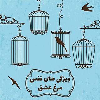 قفس مرغ عشق به عنوان محل زندگی پرنده باید چه ویژگی هایی داشته باشد
