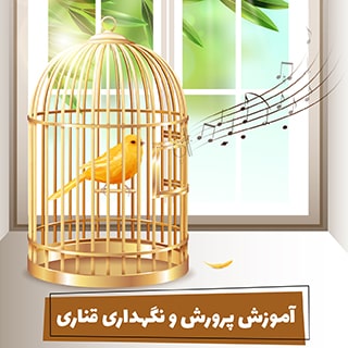 آموزش پرورش و نگهداری قناری