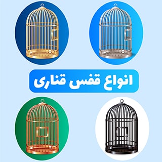 قفس قناری و انواع آن بر اساس سایز ، اندازه و نوع استفاده
