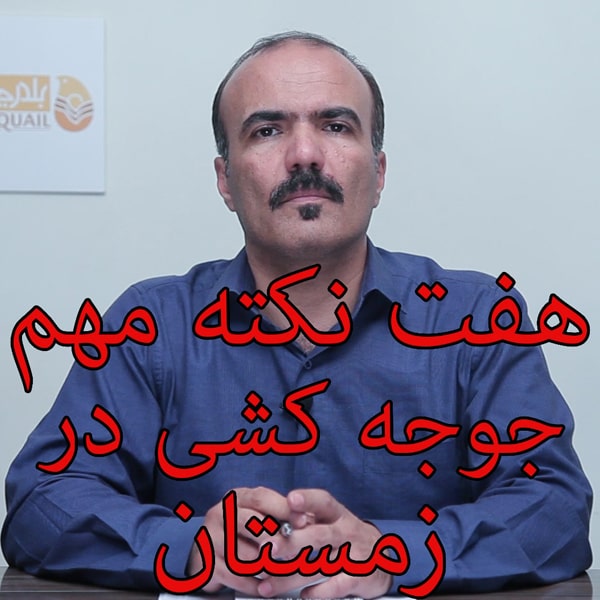 جوجه کشی در زمستان