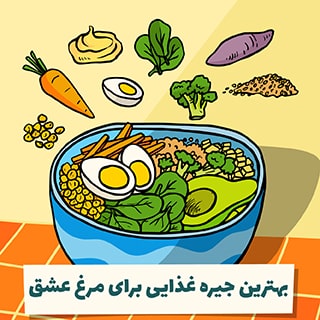 غذای مرغ عشق و بهترین جیره غذایی برای مرغ عشق