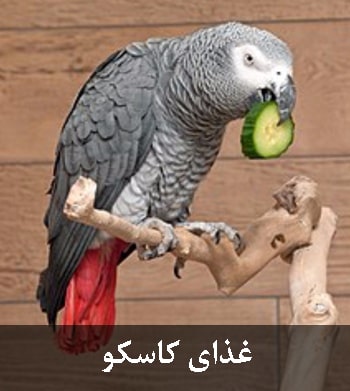 غذای کاسکو