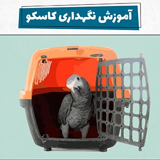 نگهداری کاسکو ها در منزل با چه شرایطی باید انجام شود؟