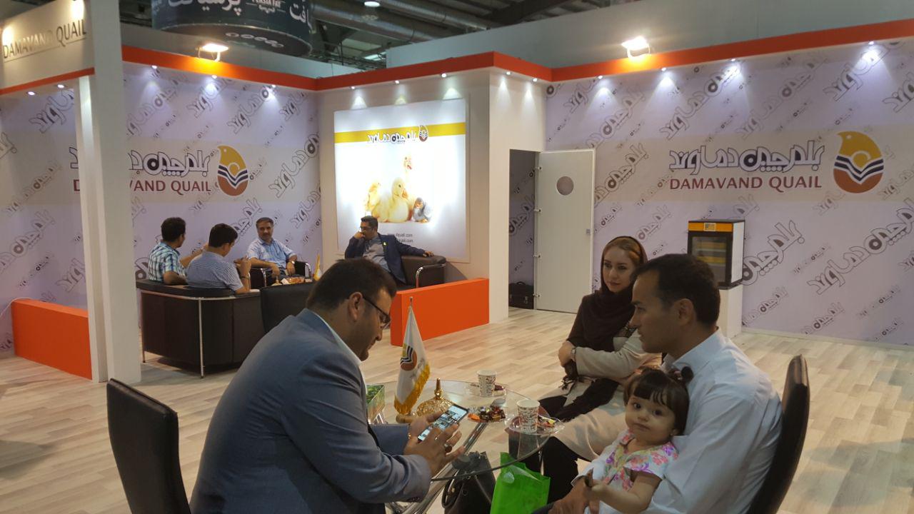 روز اول هفدهمین نمایشگاه دام و طیور