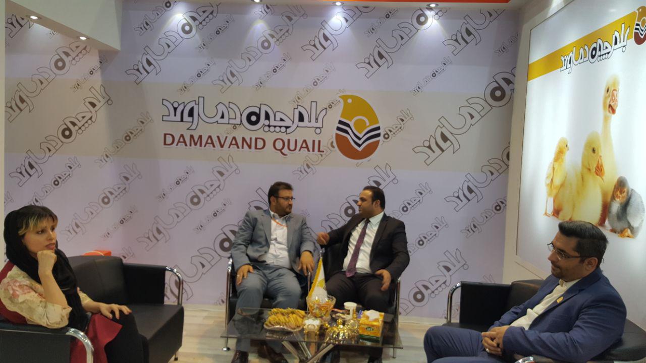 روز پایانی نمایشگاه دام و طیور 1397
