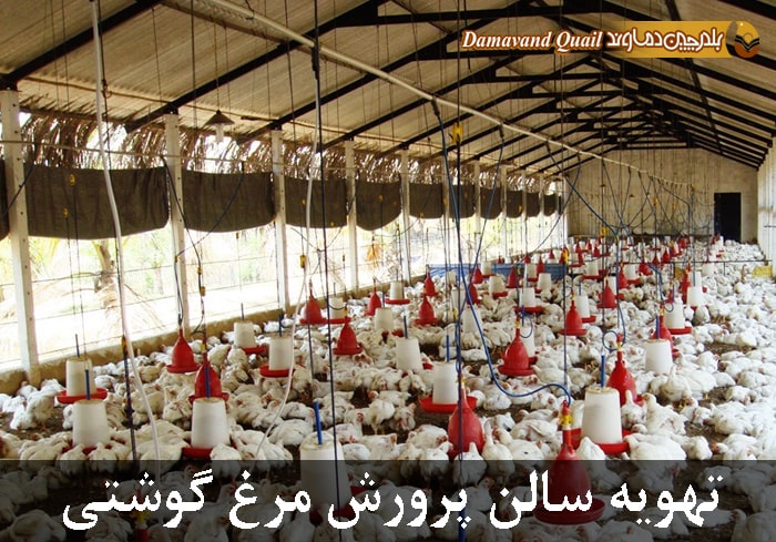 تهویه سالن نگهداری مرغ گوشتی