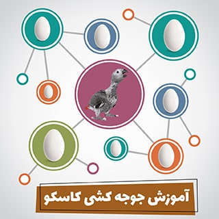 آموزش جوجه کشی کاسکو