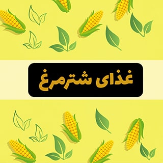 غذای شترمرغ