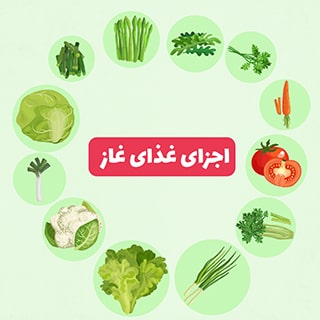 غذای غاز