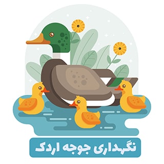 جوجه اردک