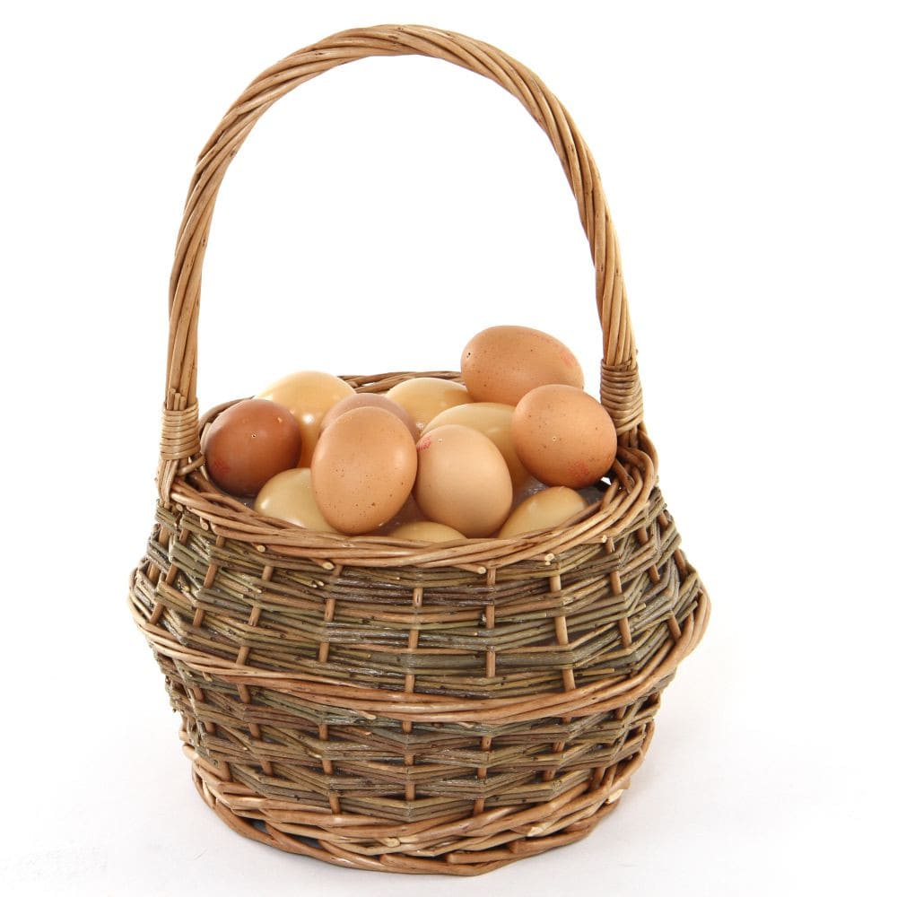 تهیه تخم نطفه دار