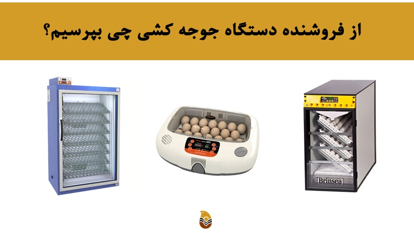از فروشنده دستگاه جوجه کشی چی بپرسیم؟