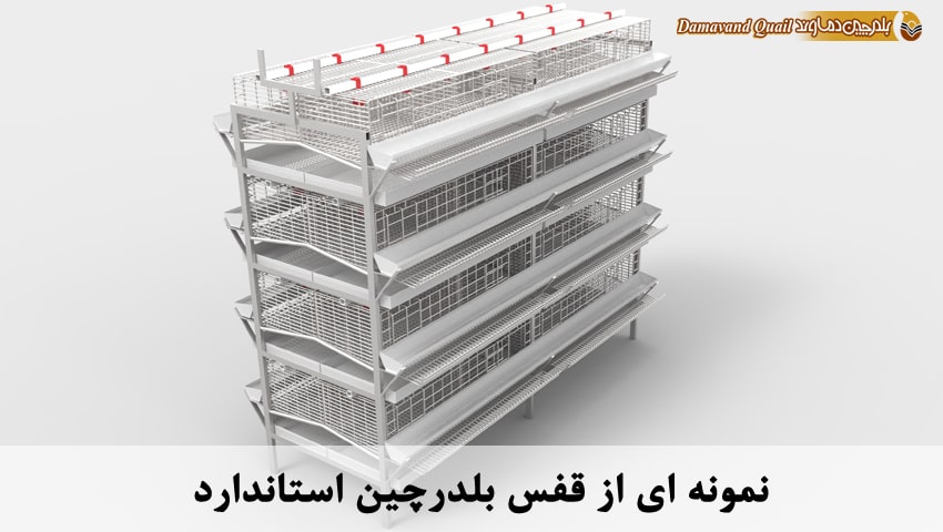 قفس پرورش بلدرچین