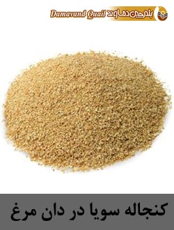 کنجاله سویا در دان مرغ