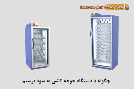 سود جوجه کشی