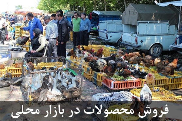 فروش محصولات جوجه کشی در بازارهای محلی