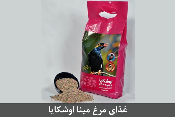 غذای مرغ مینا اوشکایا