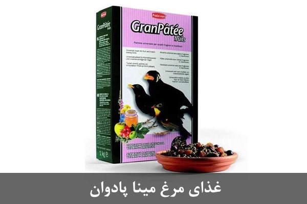 غذای مرغ مینا پادوان