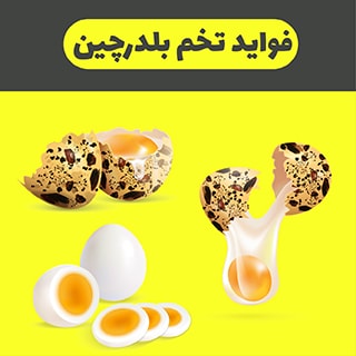فواید تخم بلدرچین