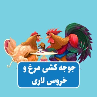 جوجه کشی مرغ و خروس لاری