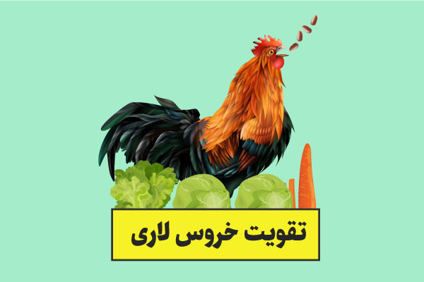 تقویت خروس لاری