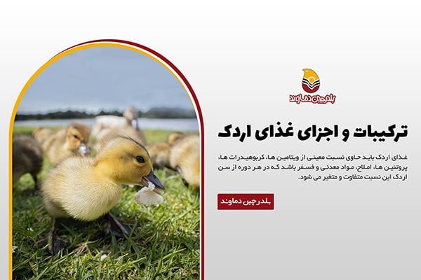 ترکیبات غذای اردک