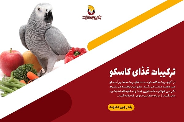 ترکیبات غذای کاسکو