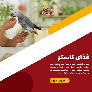غذای کاسکو